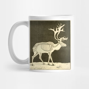 Reindeer Skeleton Vintage Illustration Mug